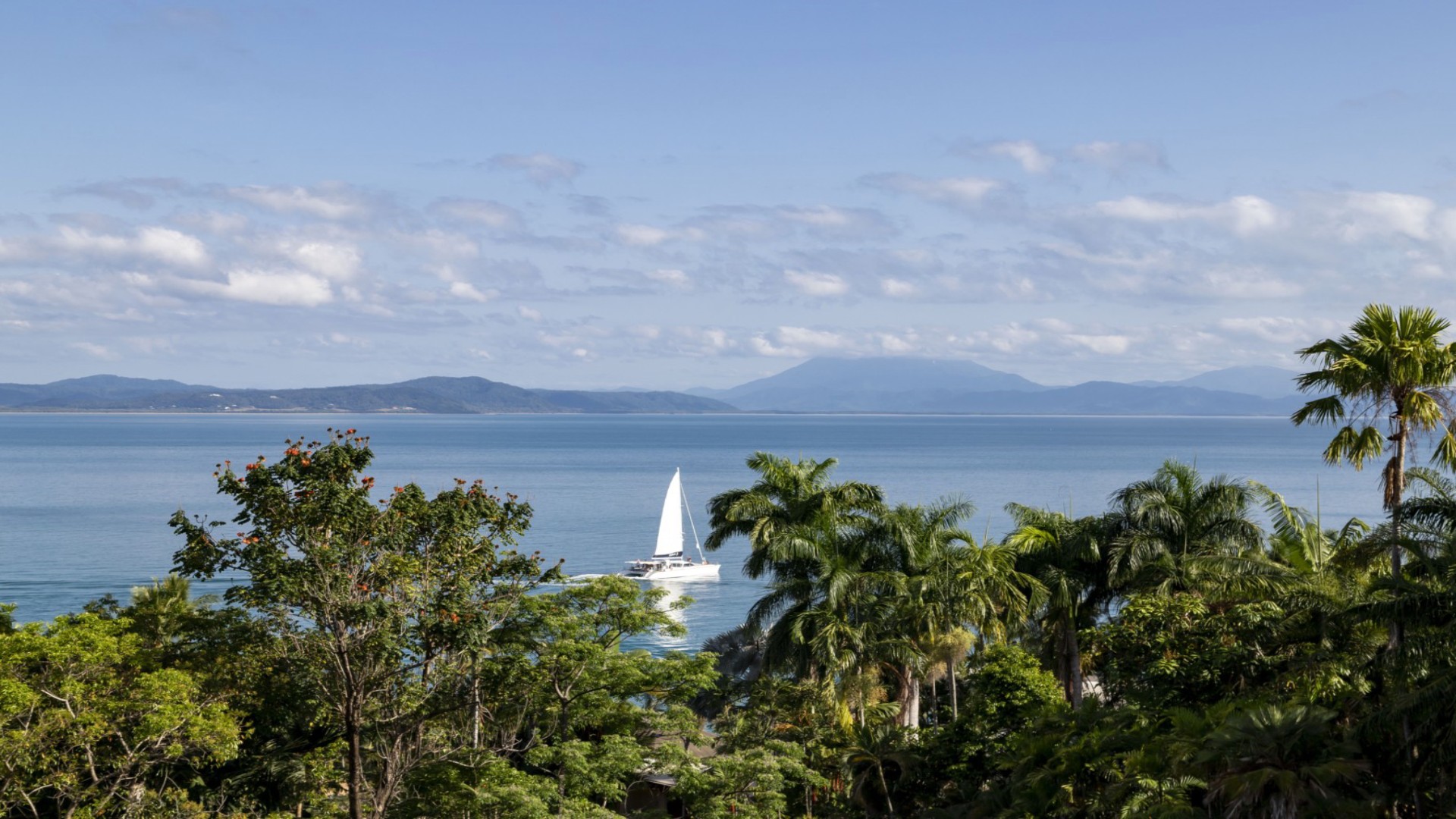 Properties Port Douglas